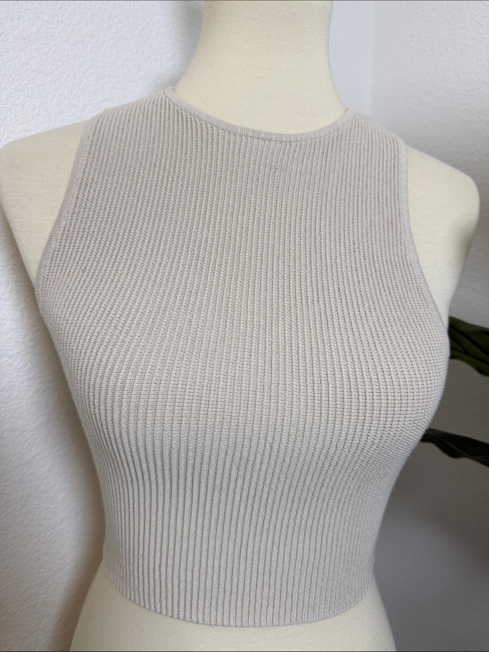 Aritzia Ribbed Knit Crew Neck - Picture 4 of 12